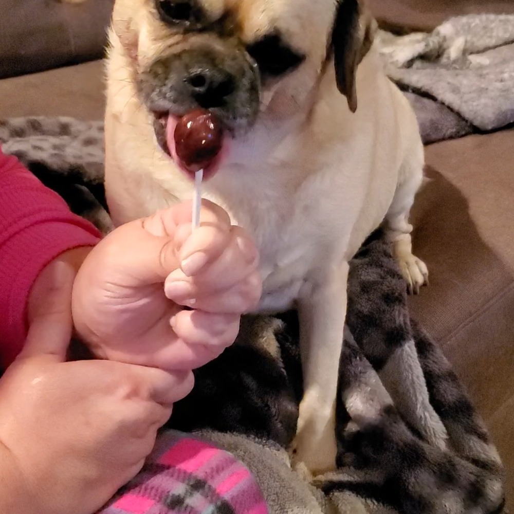 Meet your Posher, Brian